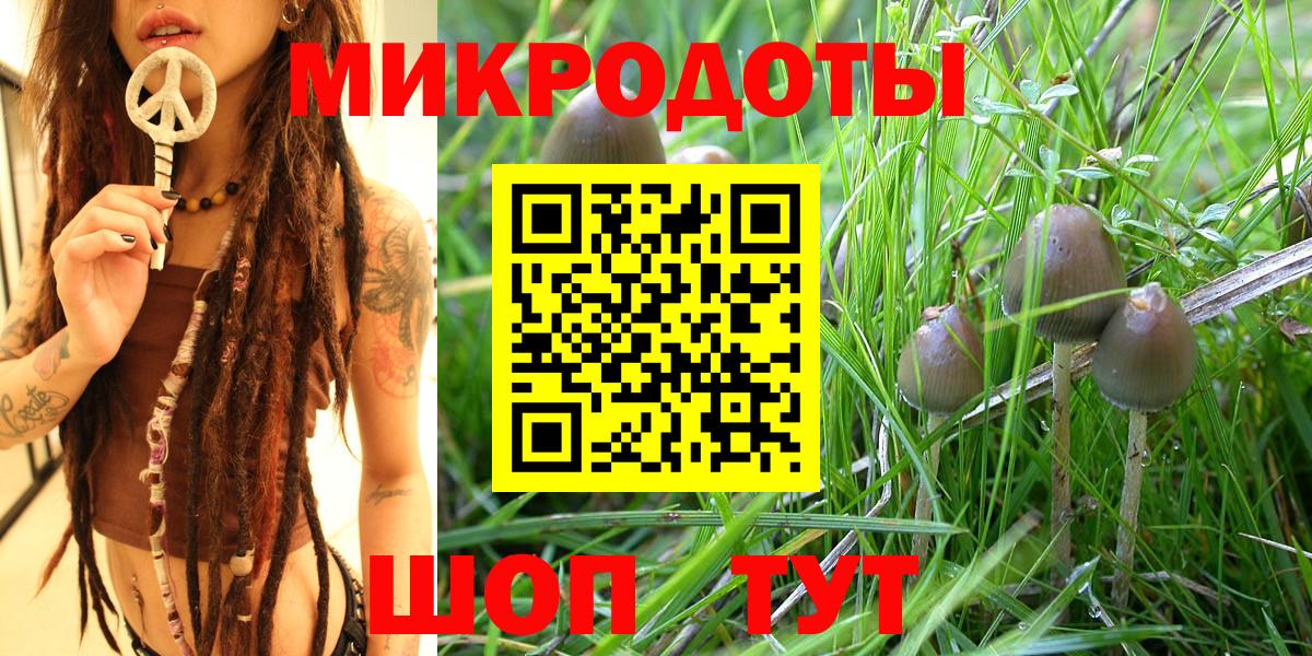 Псилоцибиновые грибы Psilocybe  Вход с VPN  Псилоцибиновые грибы GOLDEN TEACHER  Семёнов 